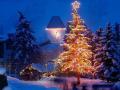 new_christmas_tree_t1.jpg
